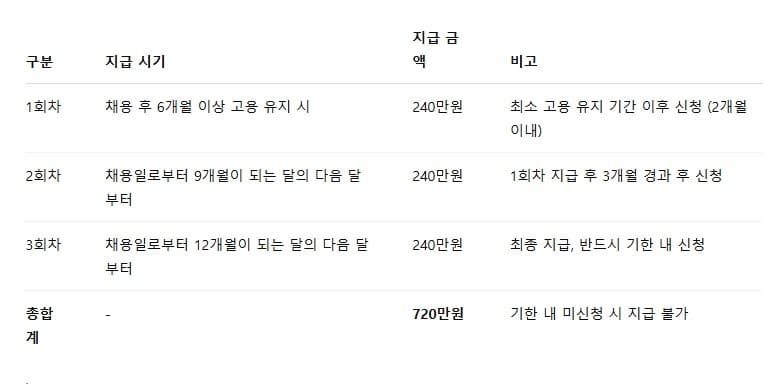 2025년 청년 일자리 도약 장려금 완벽 가이드: 혜택부터 신청 방법까지