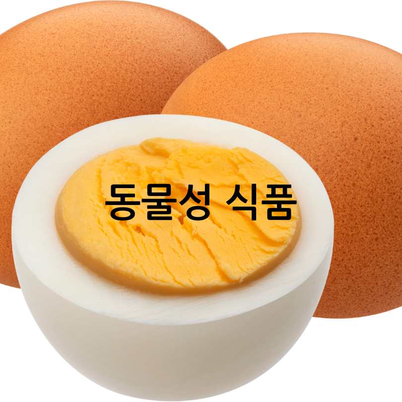 비타민K2가 많은 음식