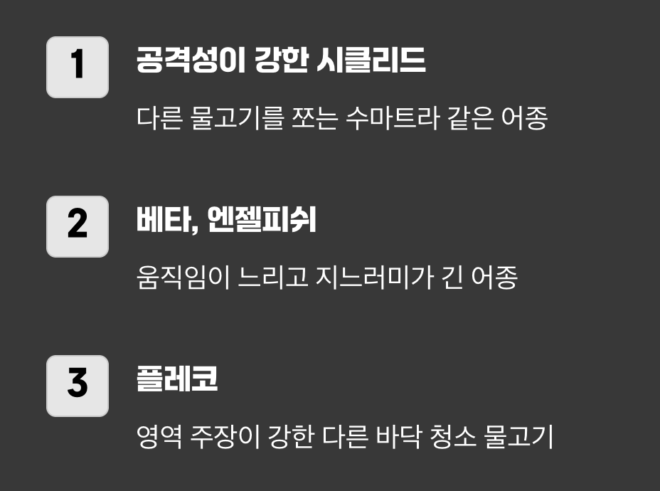 이 친구들만은 꼭 피해주세요!