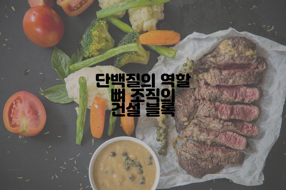 단백질의 역할 뼈 조직의 건설 블록