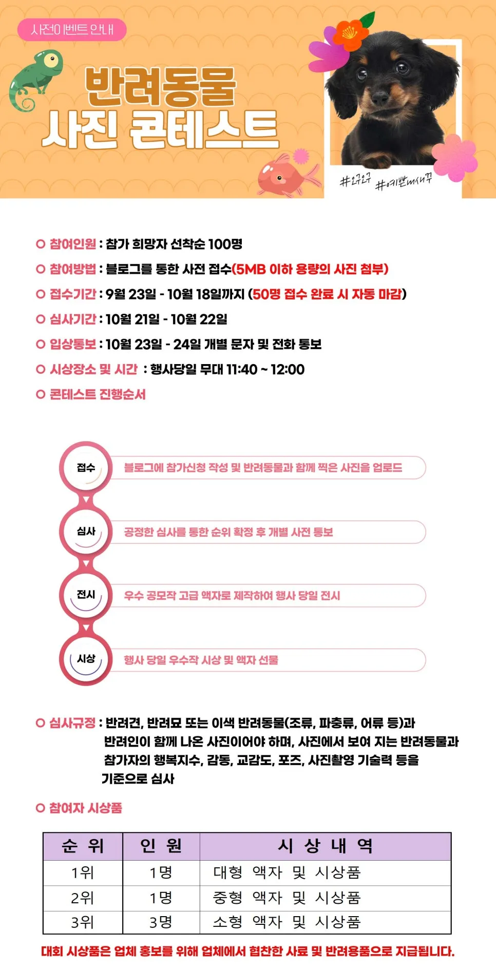 광명 반려동물문화축제 2024, 반려동물과 함께하는 특별한 하루의 시작