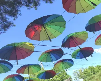 양평 세미원 연꽃축제_19