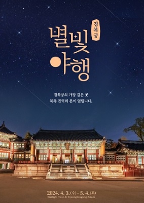 경복궁 별빛야행 포스터