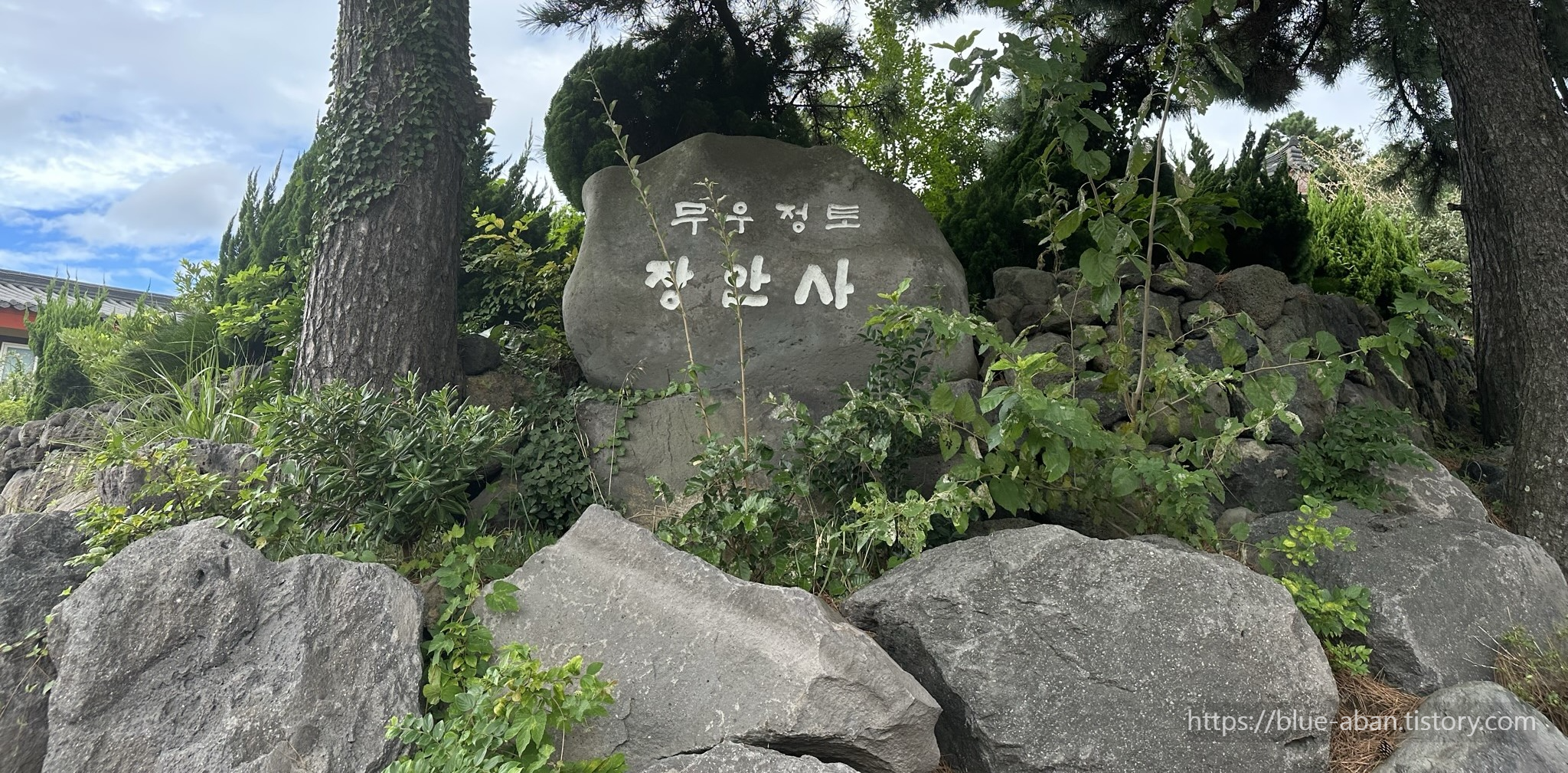 장안사