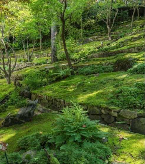 2025 화담숲 봄 수선화 축제