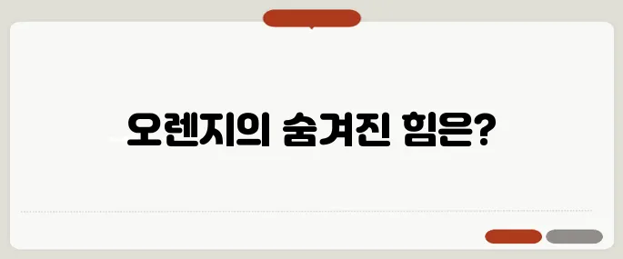 오렌지 효능 면역력 높이는 비결 비타민C 섭취 끝판왕