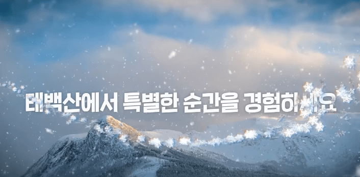 태백산 눈축제 입장료