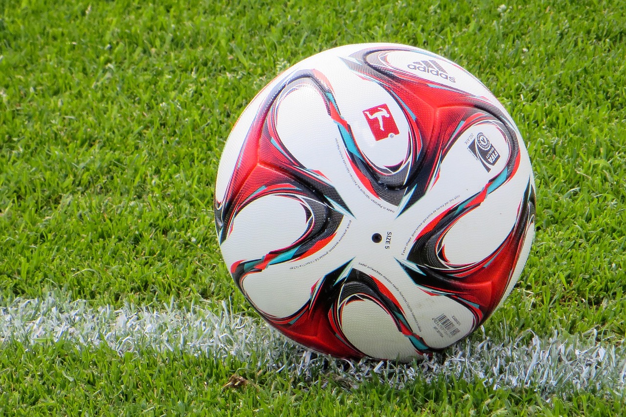 축구 관련 사진