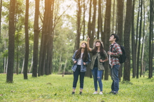 자격증 종류 5가지