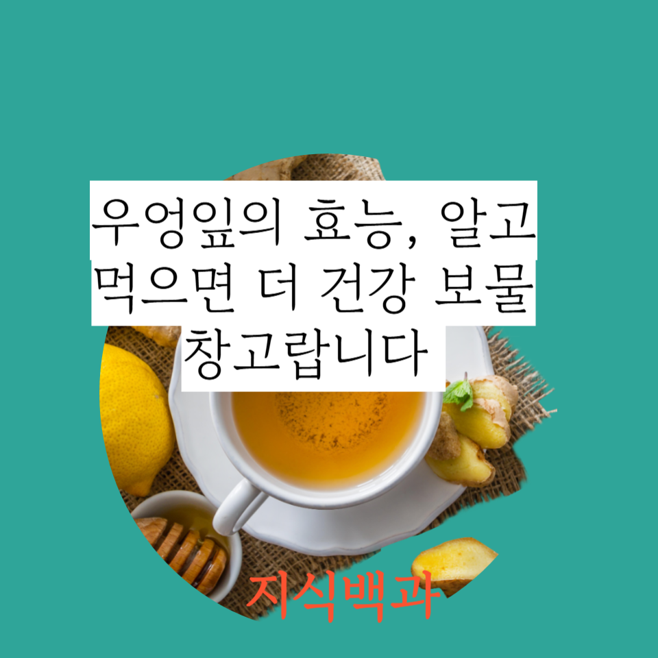 우엉잎의 효능, 알고 먹으면 더 건강 보물창고랍니다 💚