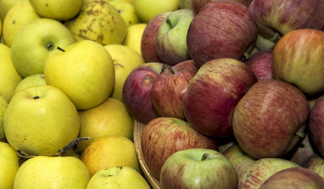 고지혈증 증상 2