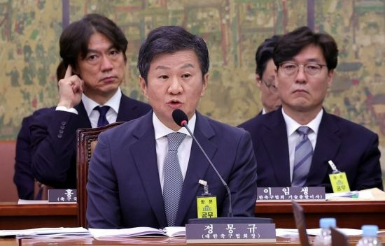 축구협회 국회청문회