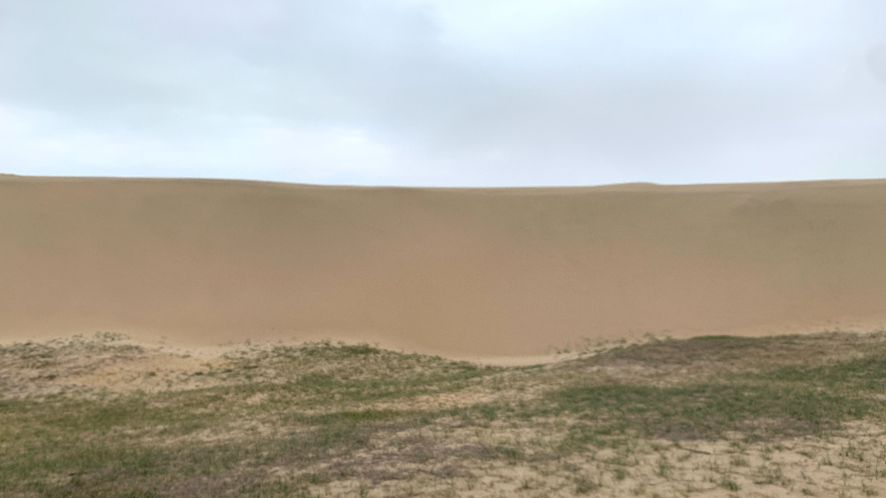 신두리 해안 사구의 모래파도