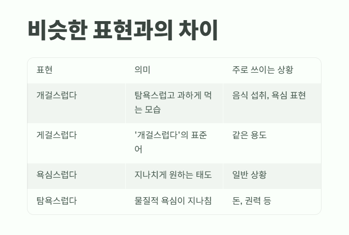 개걸스럽다 뜻 지금 확인 2