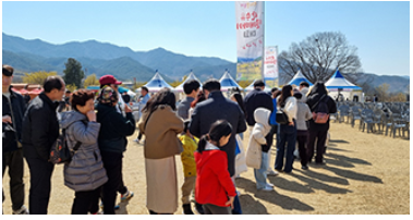 구례 산수유축제