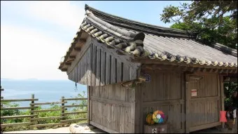 부안 수성당 유채꽃 히든스팟 개화시기_7