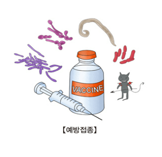 성인 백일해 기본 정보 증상 검사 격리에 대해 알아보기