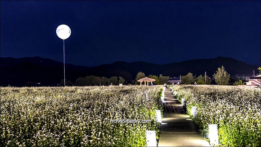 이효석문화예술촌