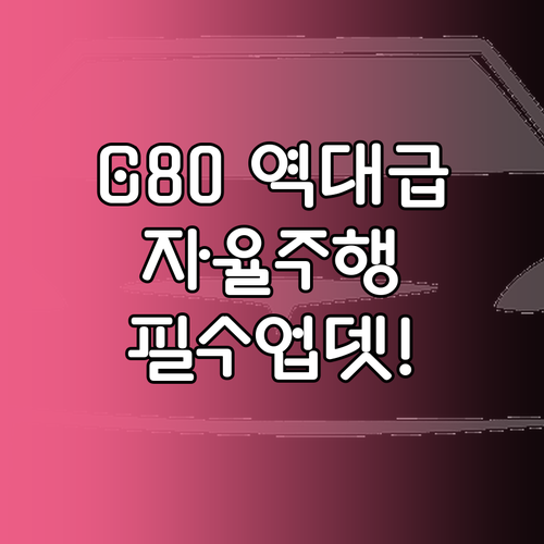 G80 내비게이션 업데이트와 자율주행..