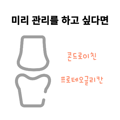 관절-영양제