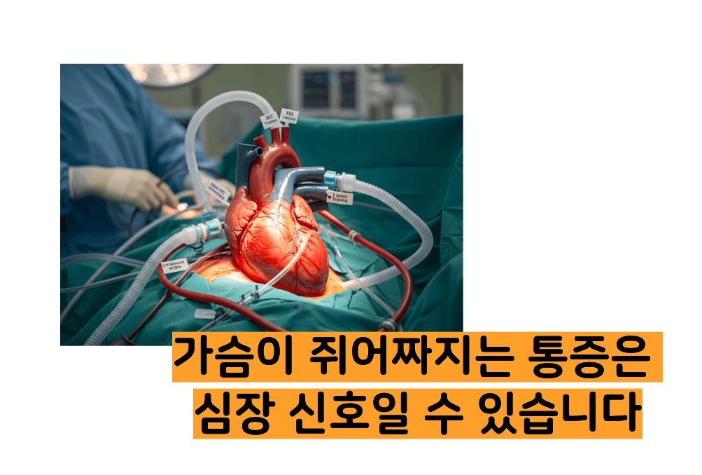 심장이 쪼이는 느낌