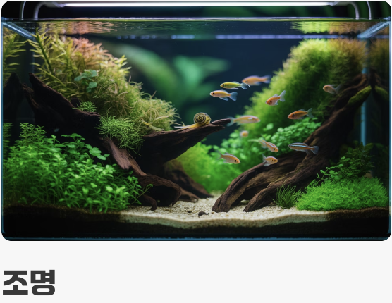 수중 세계를 위한 필수 장비