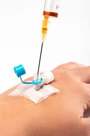 2023~2024년 코로나19 무료 백신 동시 접종