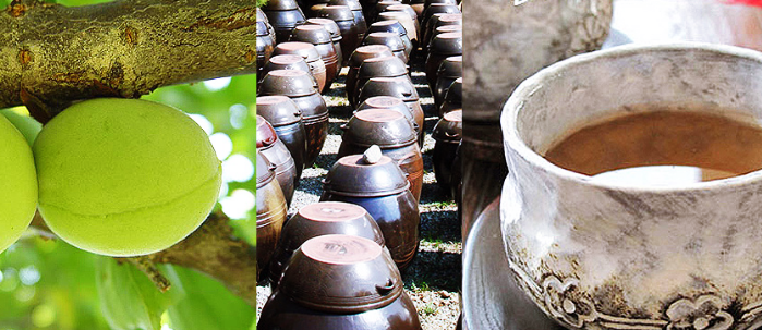 매실액기스 효능