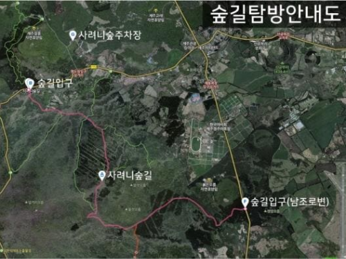 사려니숲길 숲길탐방로