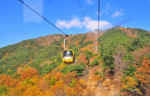 팔공산 케이블카 요금 및 예약