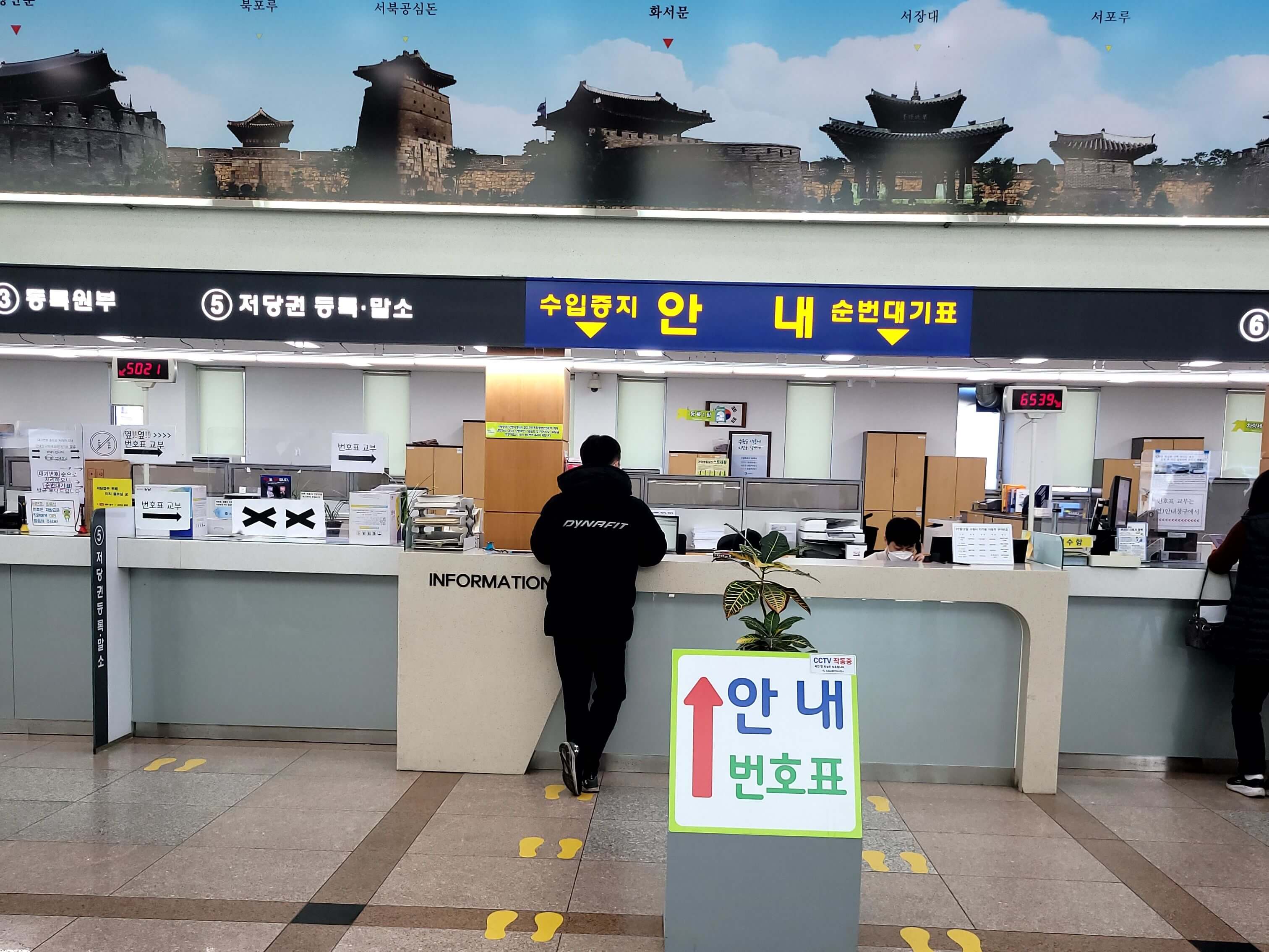 자동차번호판5