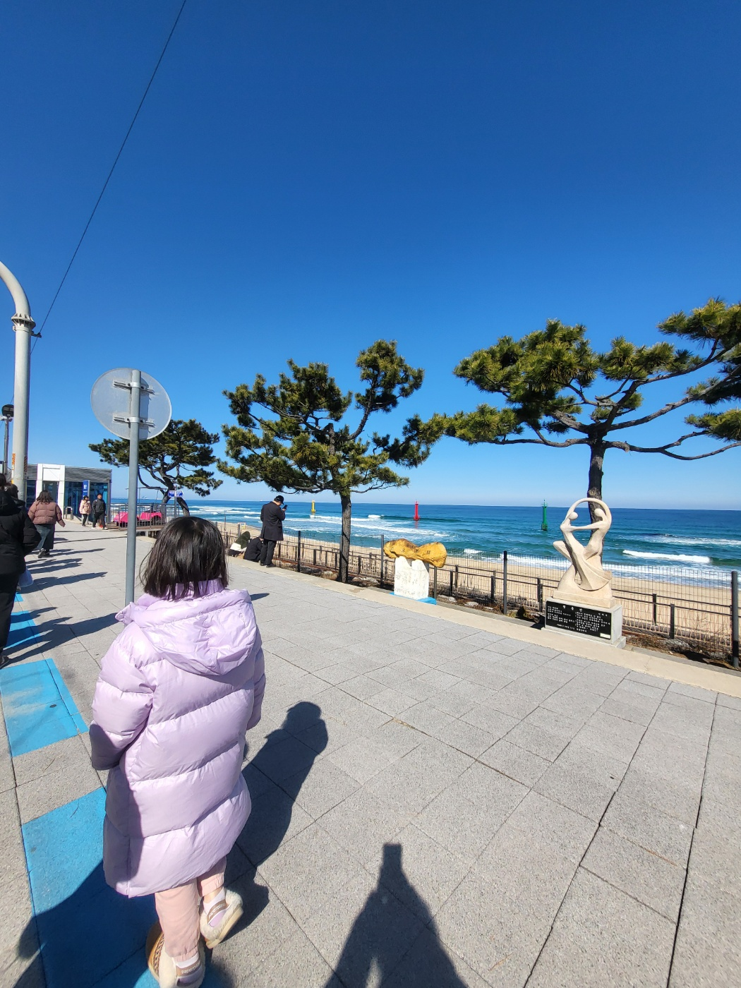 정동진 레일바이크 내돈내산 꿀팁: 모든 타임 매진 주의! 예약 방법과 입장료 정보 총정리