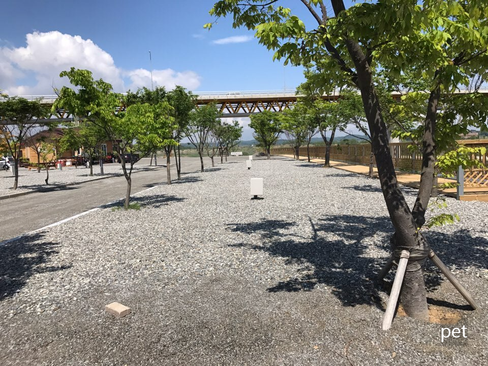 경기-연천-캠핑브릿지캠핑장-예약-방법-애견-동반-가격-주소-시간-후기