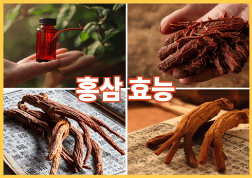 홍삼 효능