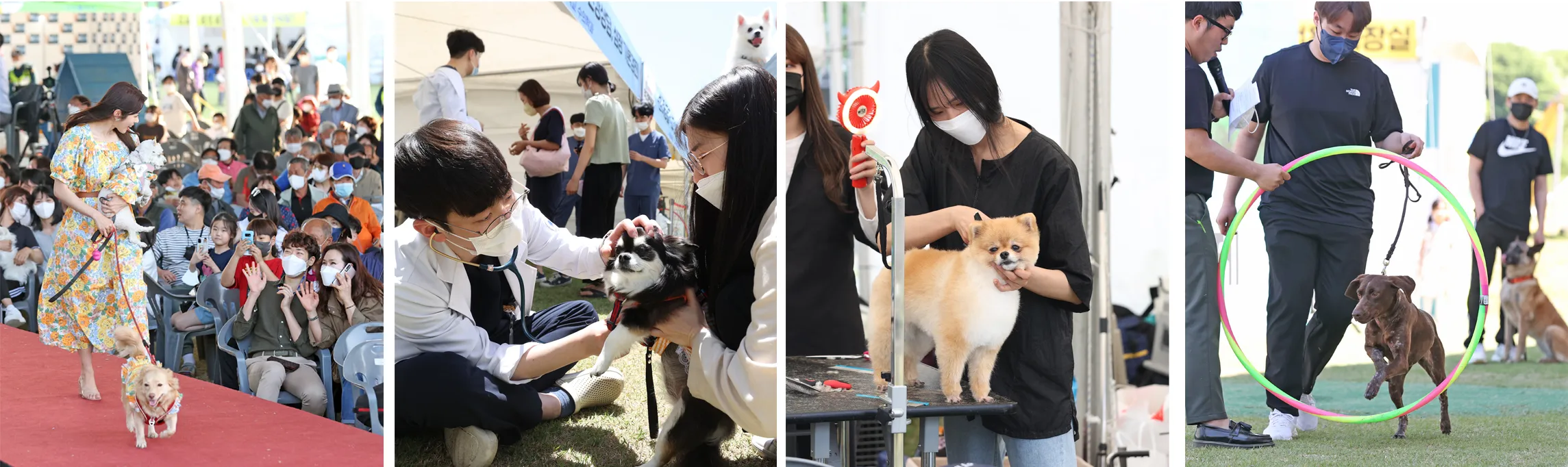 오수의견제