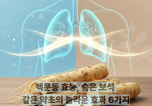 맥문동 효능, 숨은 보석 같은 약초의 놀라운 효과 6가지