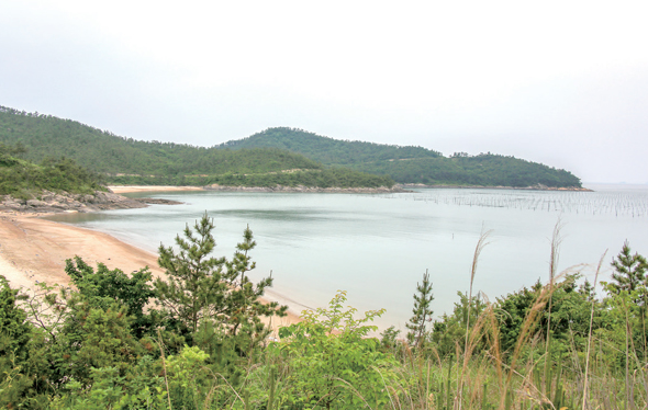 신안증도