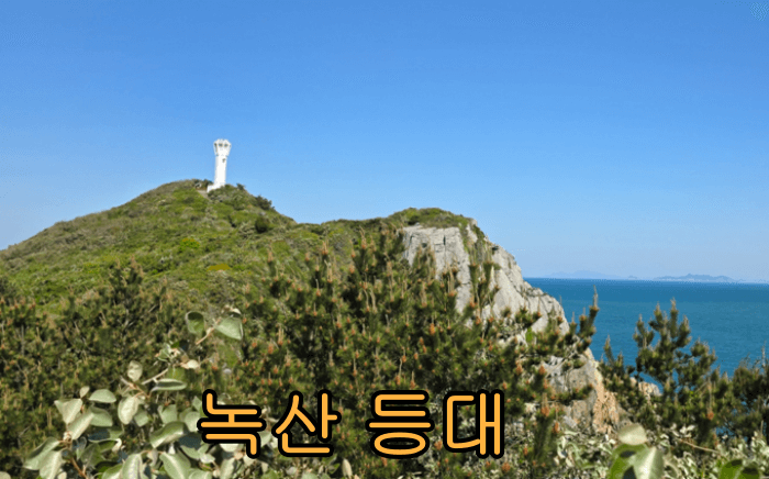 거문도_백도_가는_방법