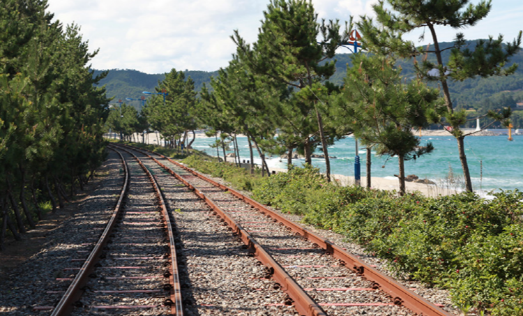 삼척 레일바이크