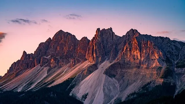 제타ai 사이트 바로가기_9