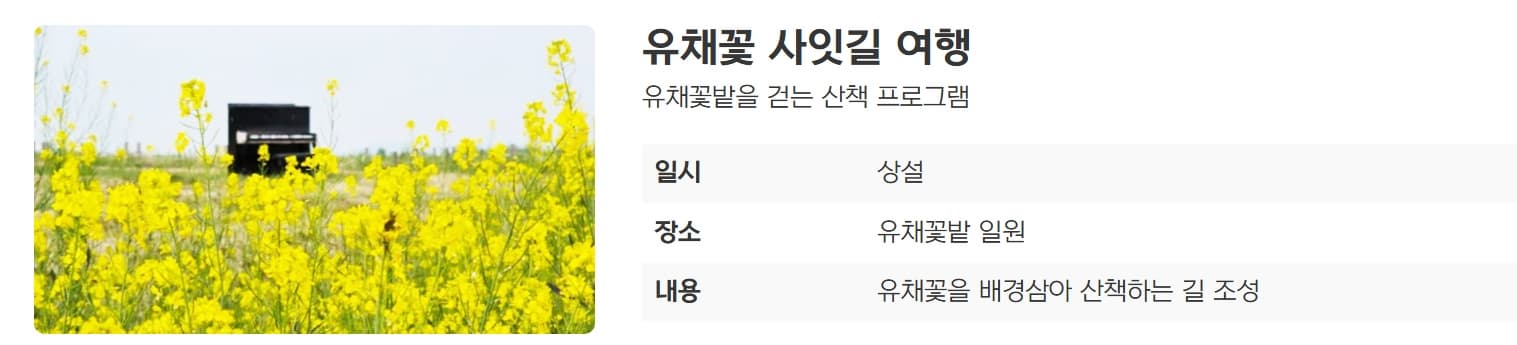 [5월 축제]2025 진봉 새만금 보리밭축제❘기간, 일정, 체험 프로그램, 공연 총정리