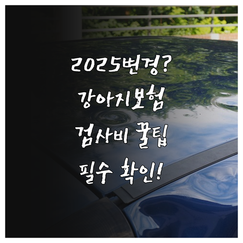 2025년 강아지 보험 검사비 보장 ..