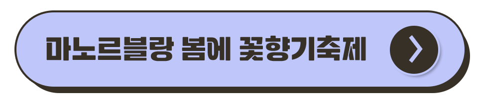 제주도 축제