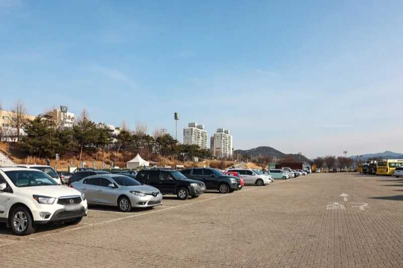 공주 야밤 맥주축제