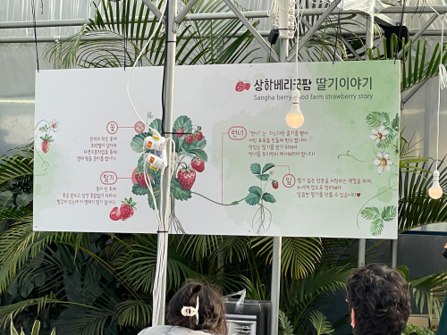 전북 고창 숙박 상하농원 파머스 빌리지 패밀리룸 조식