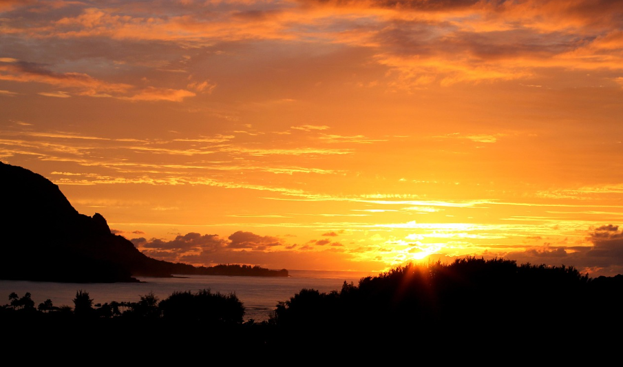 버킷리스트 관련