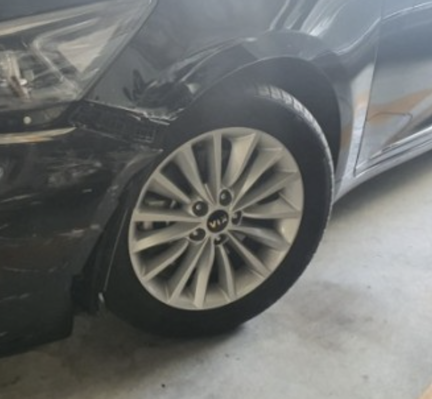 물피도주 자진신고 후기 몰랐다 합의금 못잡음 신고 취하(+2024)