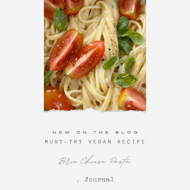 성시경의 브리 치즈 파스타와 다양하게 즐기는 법