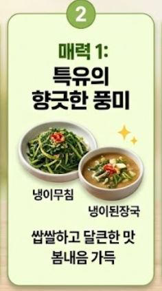 냉이 손질법 및 싱싱한 보관 꿀팁