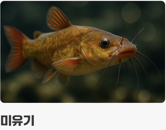 꼬리지느러미 속에 숨겨진 신분증